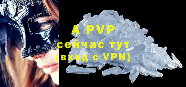 индика Горно-Алтайск